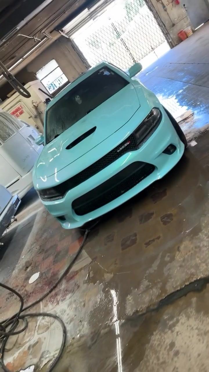 Custom color-changed Dodge Charger