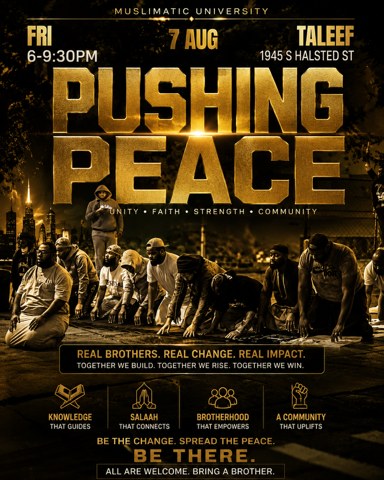 Pushing Peace flyer
